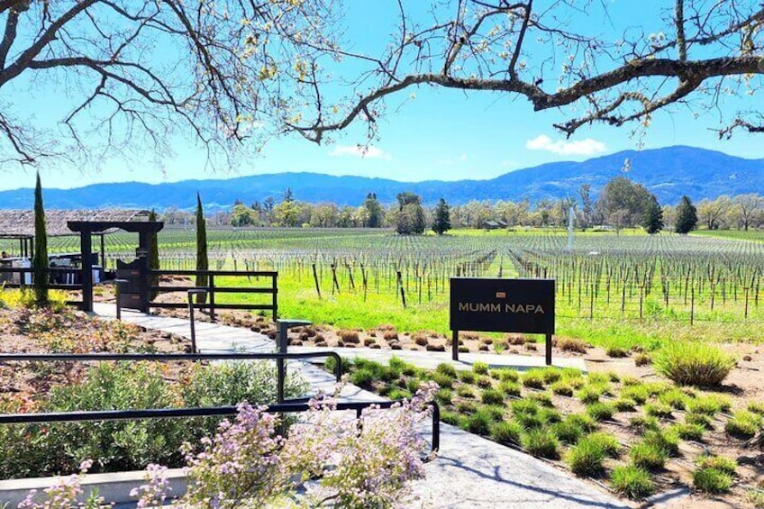Sonoma and Napa Champagne Wine Private Tour Half Day