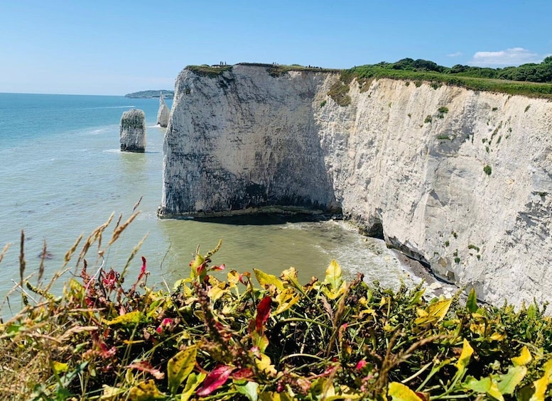Picture 3 for Activity Poole: Old Harry Rocks and Corfé Castle Guided E-bike Tour