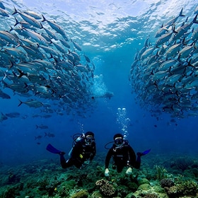 ภูเก็ต: ดำน้ำสกูบา เกาะไม้ท่อน กลุ่มเล็ก ครึ่งวัน