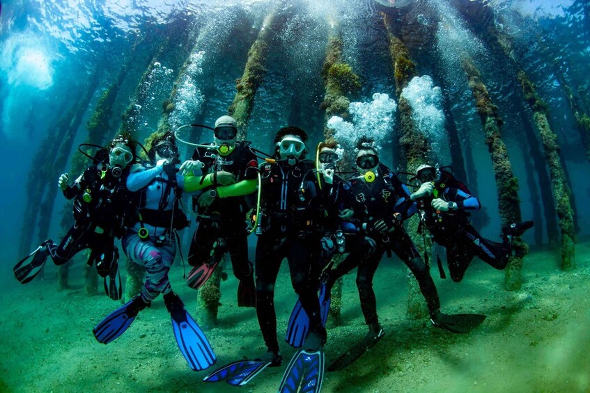 Aqaba: Private Introduction Dive from Boat with Buffet Lunch