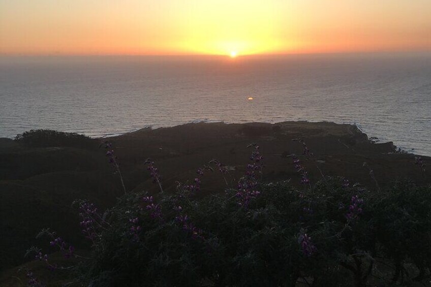 3-Hour Kayaking and Hiking in California’s Central Coast