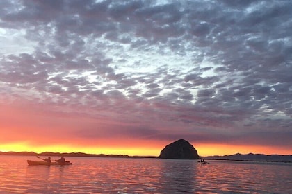 3-Hour Kayaking and Hiking in California’s Central Coast