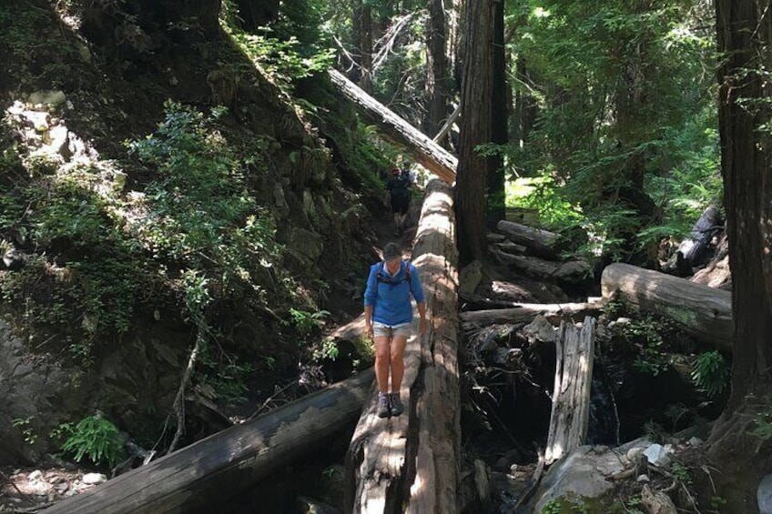 3-Hour Kayaking and Hiking in California’s Central Coast