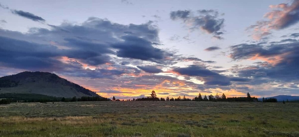 Picture 20 for Activity Gardiner: Yellowstone National Park Half Day Guided Hike