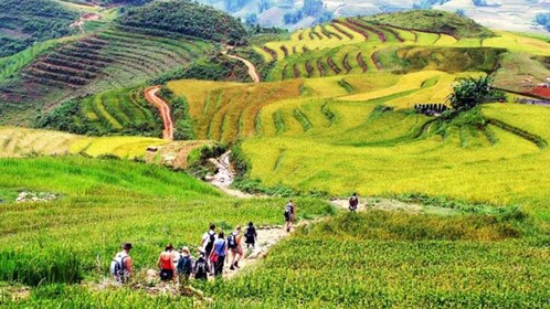 Abenteuer 2-tägige Sa Pa Ethnic Homestay Tour mit Trekking