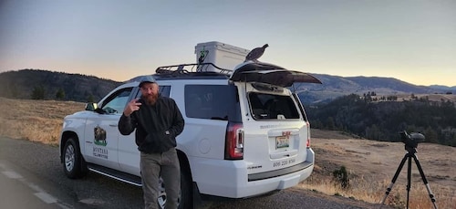 Gardiner: Geführte Tour durch die Tierwelt des Yellowstone National Park