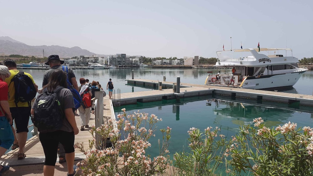 Picture 4 for Activity Aqaba: 2 Guided Dives Boat Trip with Gear and Buffet Lunch