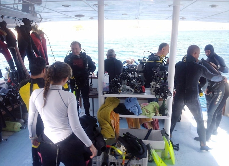 Aqaba: 2 Guided Dives Boat Trip with Gear and Buffet Lunch