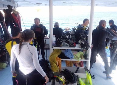 Aqaba: 2 guidade dyk båttur med utrustning och buffé lunch