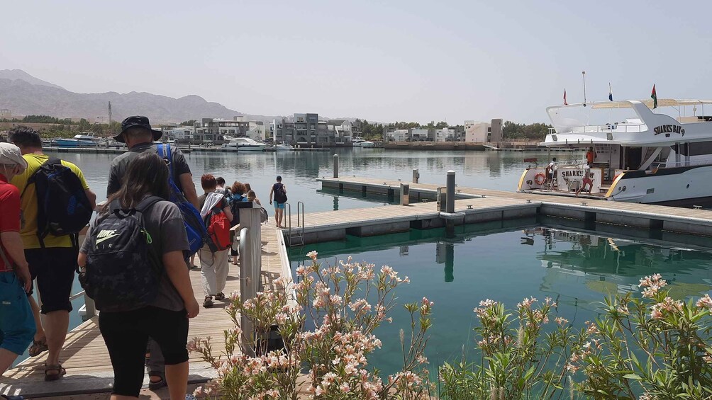 Picture 4 for Activity Aqaba: 2 Guided Dives Boat Trip with Gear and Buffet Lunch