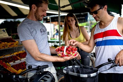 Circuit à vélo des joyaux cachés - Plateau, Mile-End, Marché Jean Talon