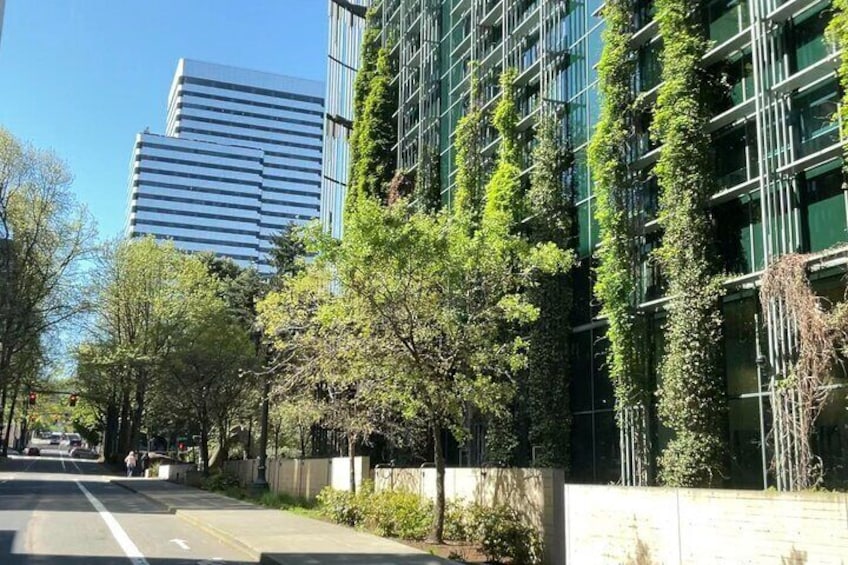 Our Portland city tour will show you sustainability in action