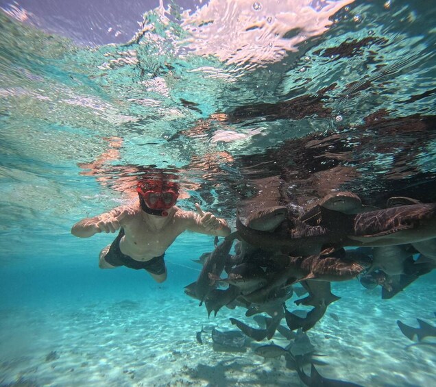 Picture 5 for Activity Caye Caulker: Local Reef Half-Day 3-Stop Snorkeling Tour