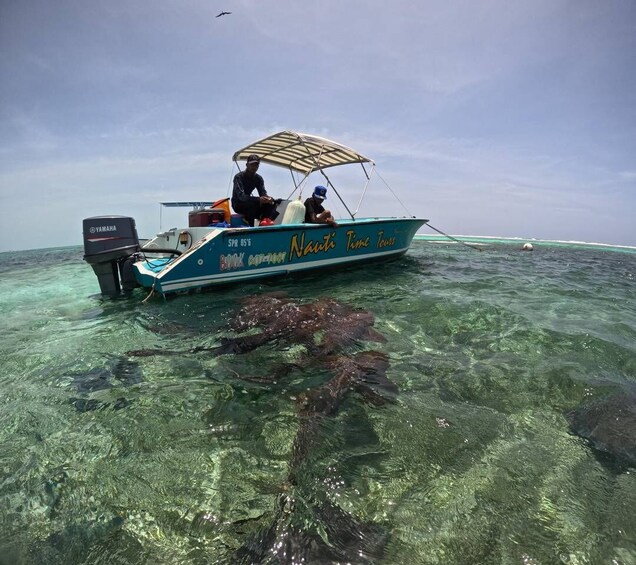 Picture 9 for Activity Caye Caulker: Local Reef Half-Day 3-Stop Snorkeling Tour