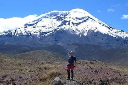 Chimborazo Tour From Quito includes Lunch
