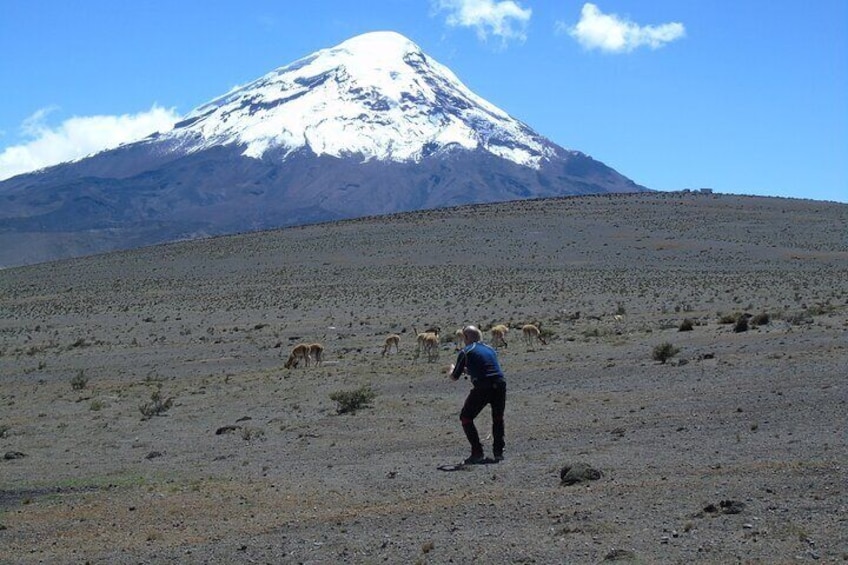 Full Day Chimborazo Private Tour with Lunch