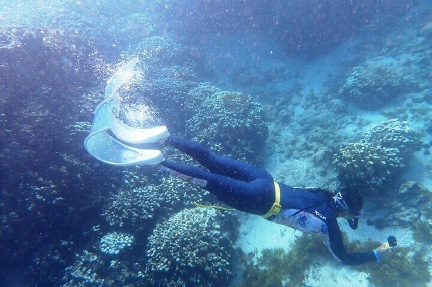 3hrs of Private Snorkeling in Rapa Nui Coral Reef