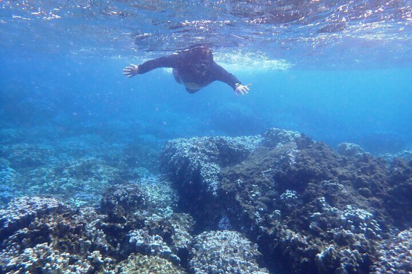 Rapa Nui Coral Reef Snorkeling