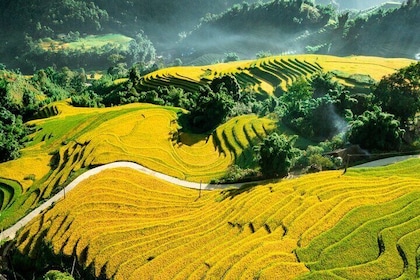 5-Day North Vietnam: Hanoi- Halong Bay - Ninh Binh -Sapa & Beyond