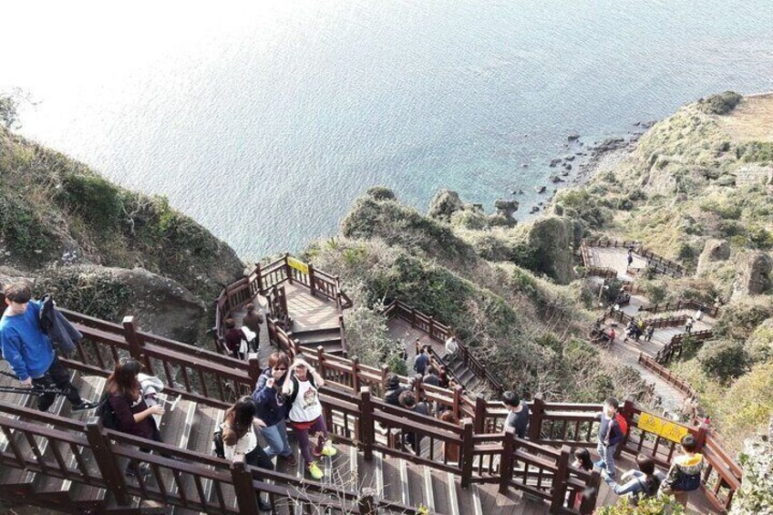 Private Tour full day experience in Jeju Island