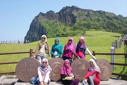 Small group Private Taxi Tour DAY experience in Jeju island