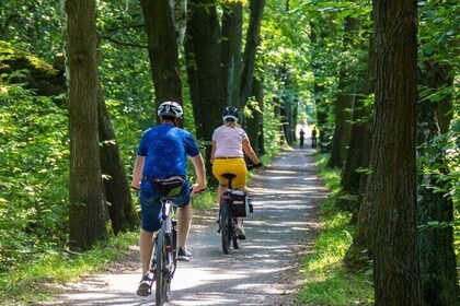 Acadia Half Day Private Bike Tour