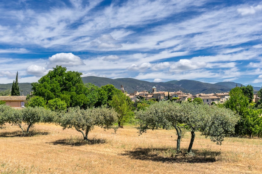 Luberon Villages Day Trip from Aix en Provence