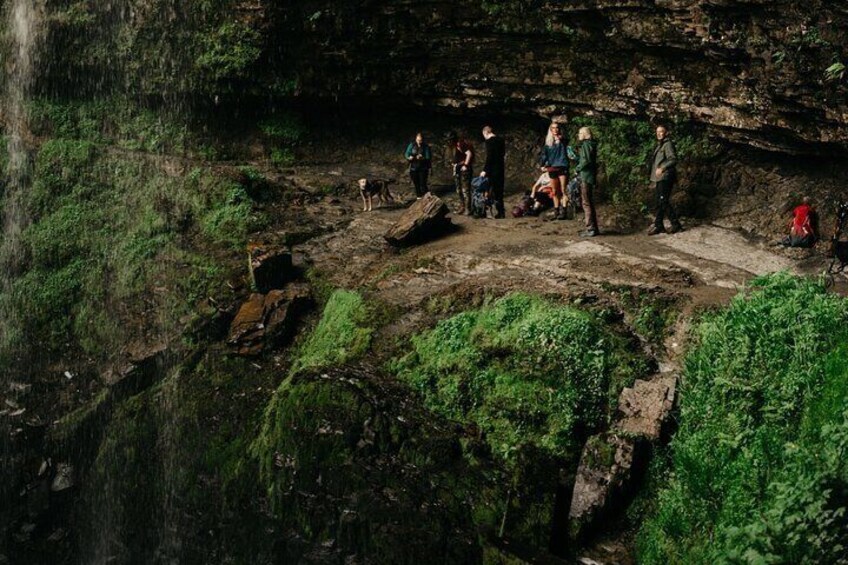 Foraging Food And Medicinals Plus Batman's Waterfall