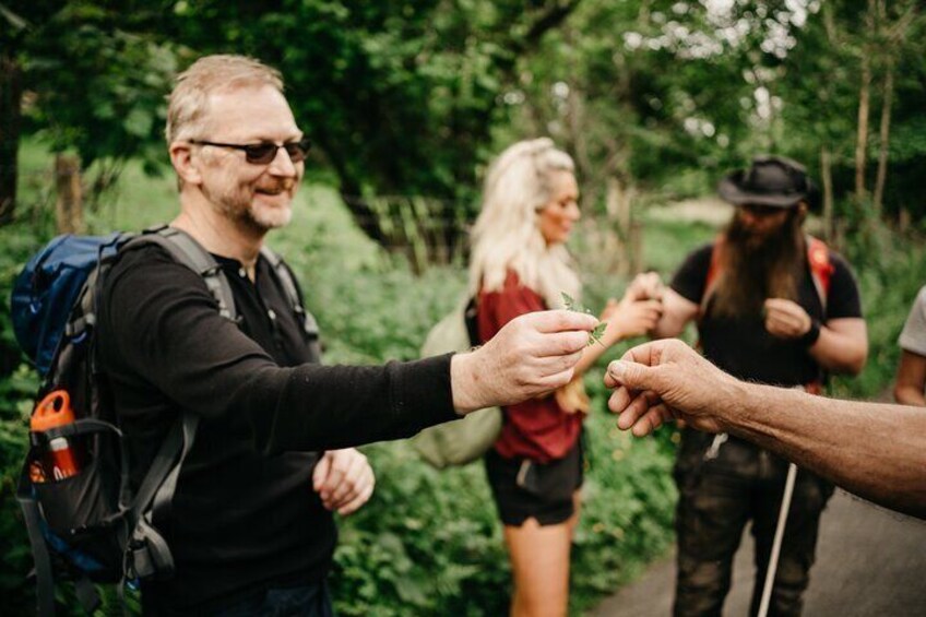 Foraging Food And Medicinals Plus Batman's Waterfall