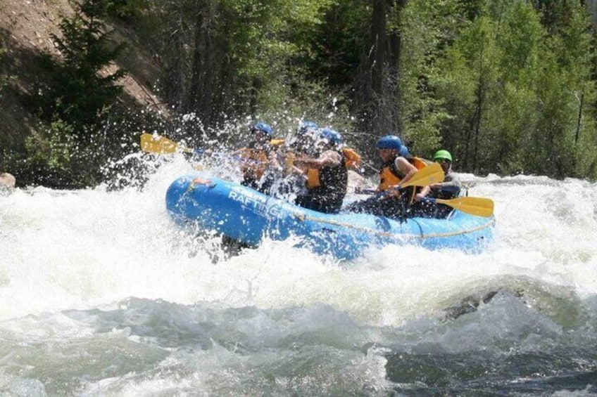 Half Day Clear Creek Rafting Trip in Colorado