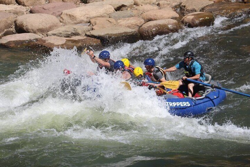 Durango "4.5 Half-Day" Rafting Trip Down the Animas River