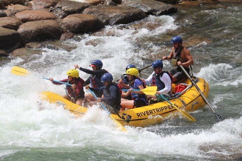 Durango "4.5 Half-Day" Rafting Trip Down the Animas River