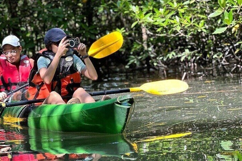 Kayaking Kilim Mangrove Geoforest