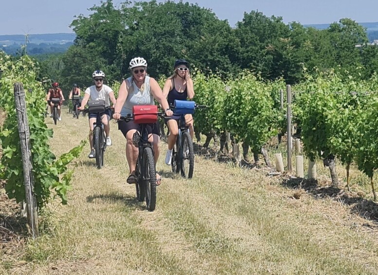 Picture 5 for Activity Chateaux de la Loire cycling !