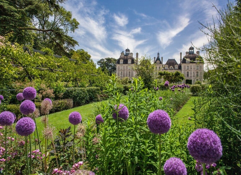 Picture 1 for Activity Chateaux de la Loire cycling !