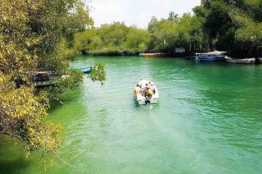 Private Safari Boat Tour in Madu River