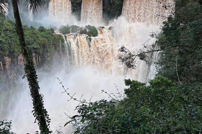  Private Day Tour to Two Sides of the Iguassu Falls