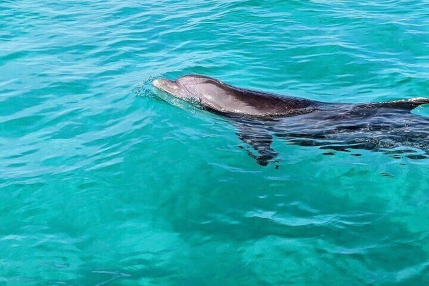 Private Charter Boat with Slide from Panama City