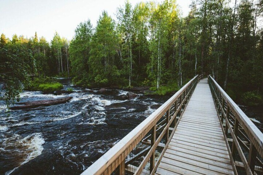 2.5 Hours Hike in Vaattunkikongas Forest Trail