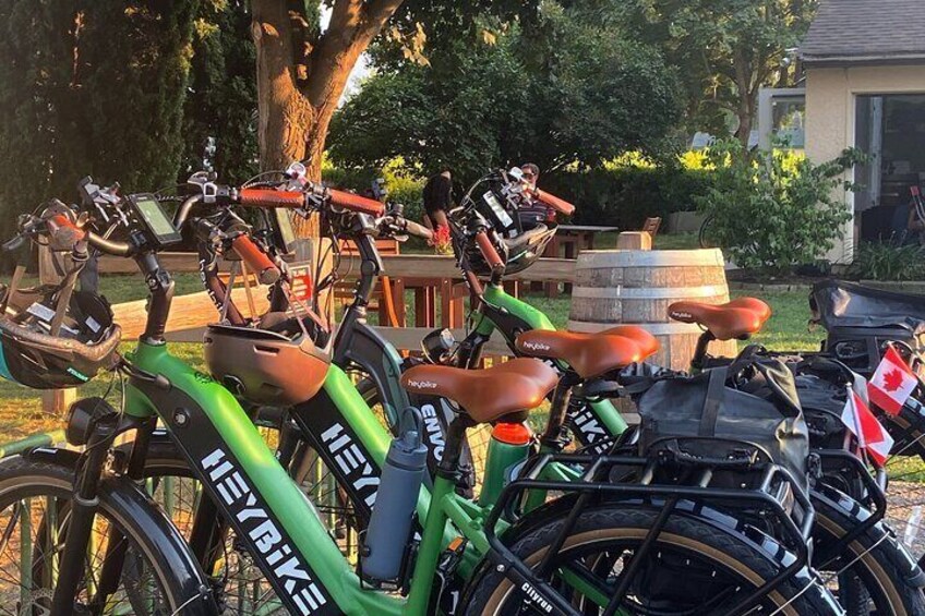 Guided E-Bike Wine Tour with Tastings and Lunch