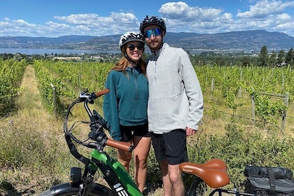 Guided E-Bike Wine Tour with Tastings and Lunch