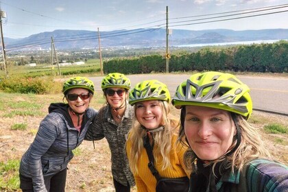 Guided E-Bike Wine Tour with Tastings and Lunch