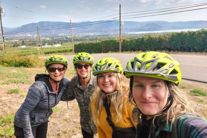 Guided E-Bike Wine Tour with Tastings and Lunch