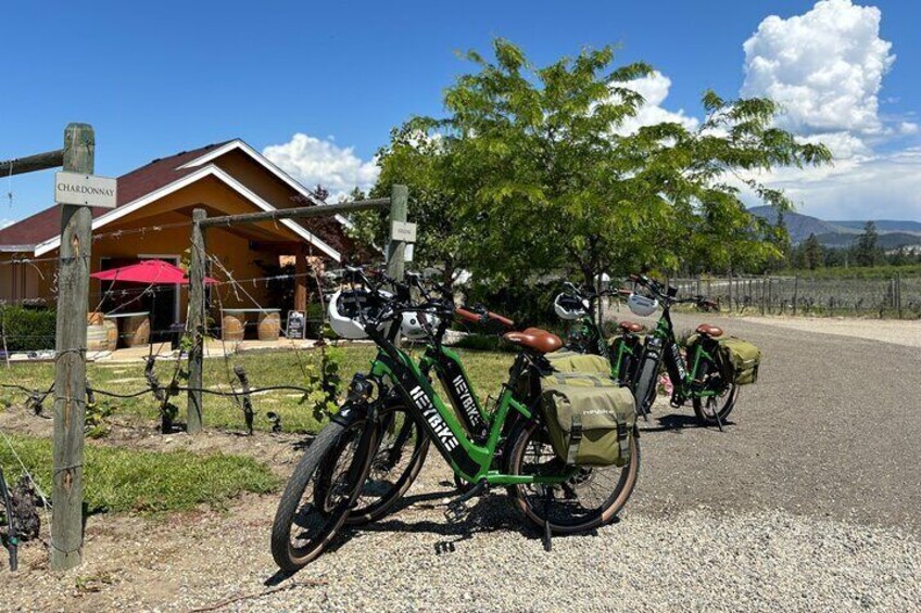 Guided E-Bike Wine Tour with Tastings and Lunch
