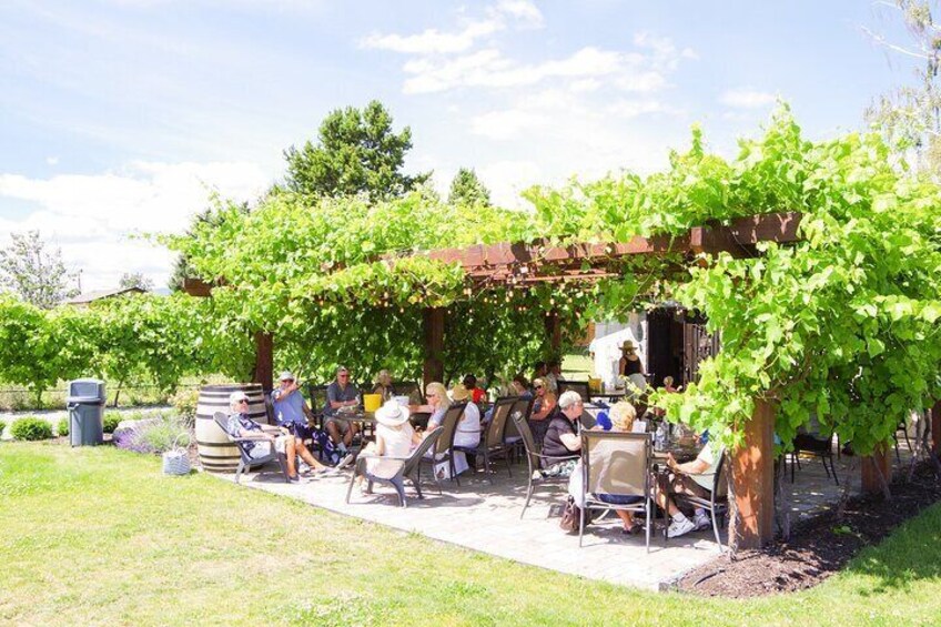 Guided E-Bike Wine Tour with Tastings and Lunch