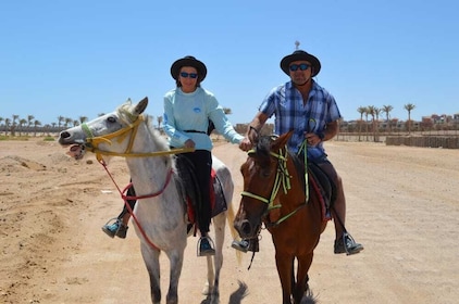 Paardrijden in de woestijn in Sharm El Sheikh