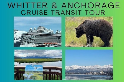 Whitter Cruise Transit Tour