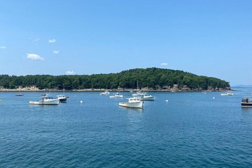 Bar Harbor