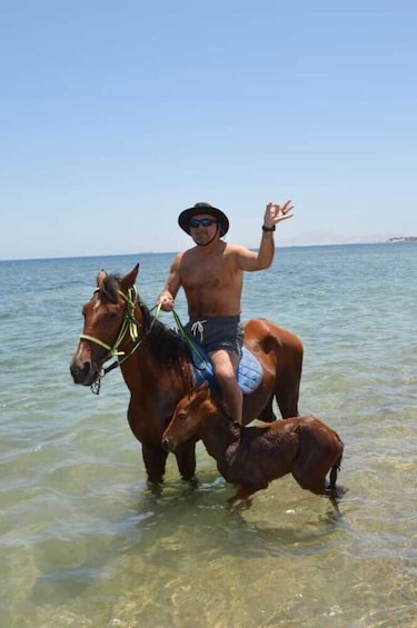 Beach Horse Riding in Sharm El Sheikh 