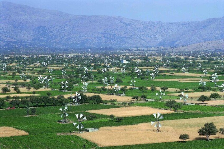 7 Hour Tour From Elounda Zeus Cave to Lasithi Plateau
